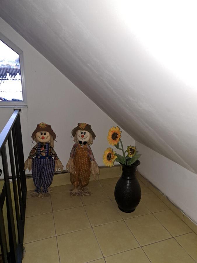 ホテル La Bibicu Agnita エクステリア 写真